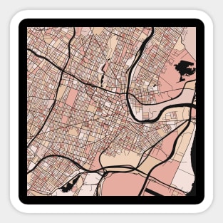 Newark Map Pattern in Soft Pink Pastels Sticker